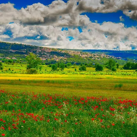 Kameni Cvijet - Makarska By Guide Villa *